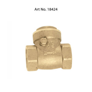 Check Valve – Swing Type