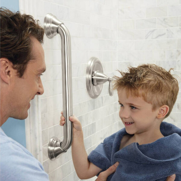 Grab Bar