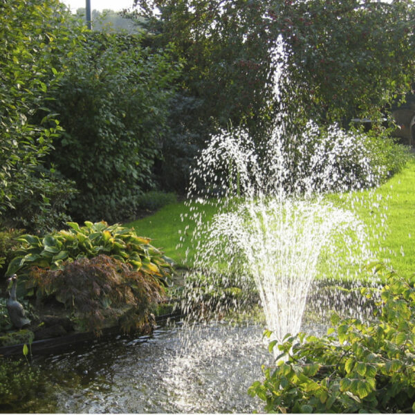 Water Fountain Flower