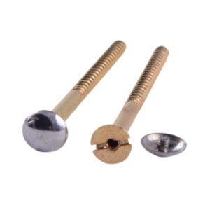 Screw For EWC With Show Flange – Pair