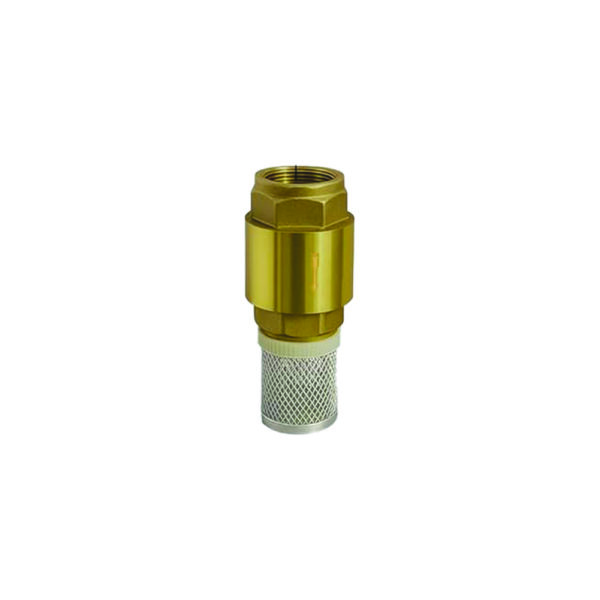 Foot Valve – with SS Mesh