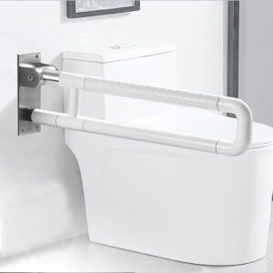 Grab Bar Handicapped- Protrude