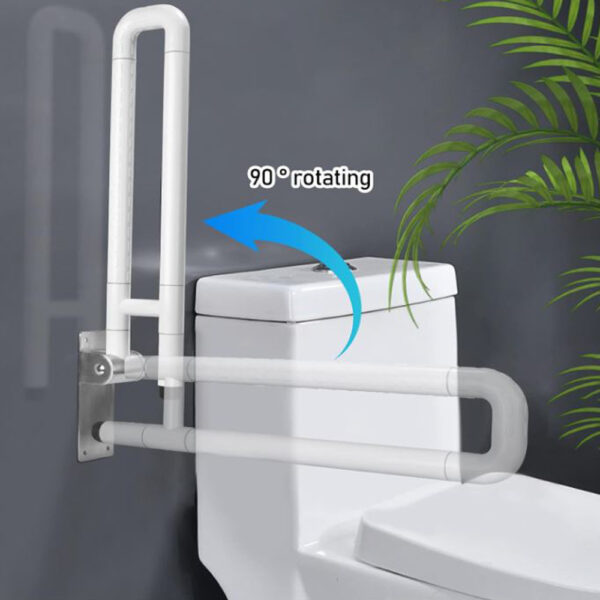 Grab Bar Handicapped- Protrude