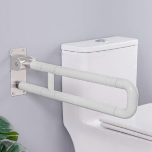 Grab Bar Handicapped- Protrude